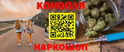гашик Кандалакша