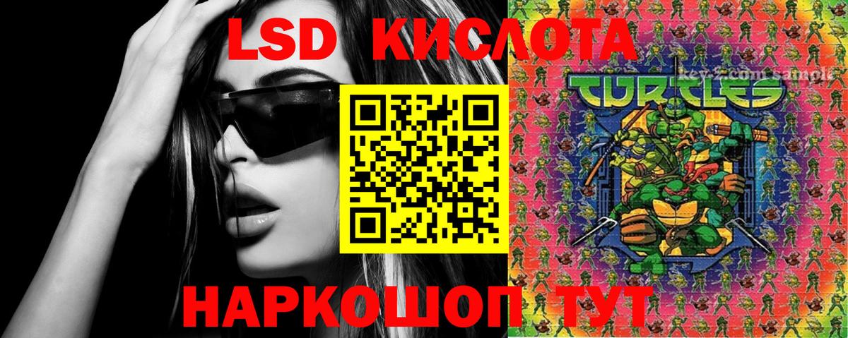 ТГК Кингисепп